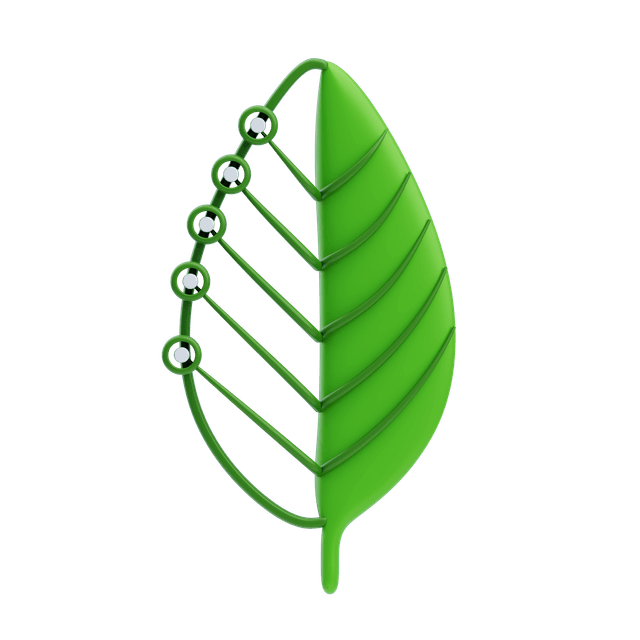Leaf
